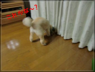 k2fZCsbwCvvGTtc_1350030408_mj_convert_20121012173532.jpg