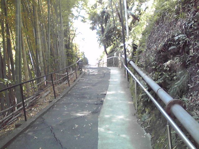 坂道