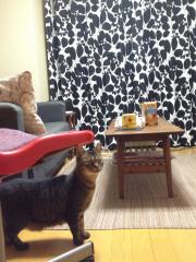 IMG_1906_convert_20121028193100.jpg