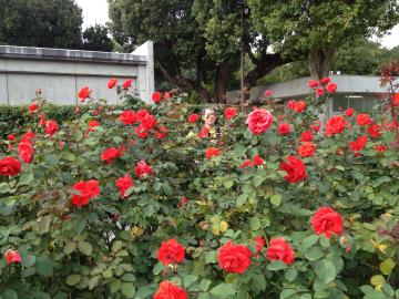 IMG_2221_convert_20121109201842.jpg