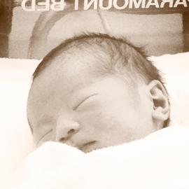IMG_2391_convert_20121116214802.jpg