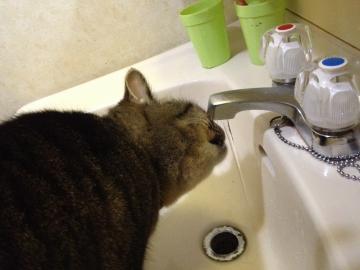 IMG_2629_convert_20121129180007.jpg