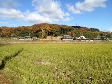 IMG_2639_convert_20121128112236.jpg