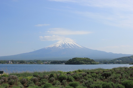 富士山12