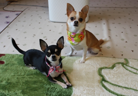 20120603-1.jpg