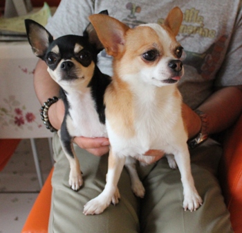 20120626-5.jpg