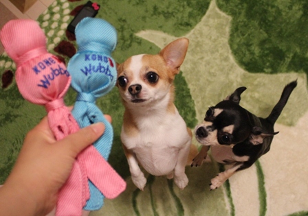 20120701-14.jpg