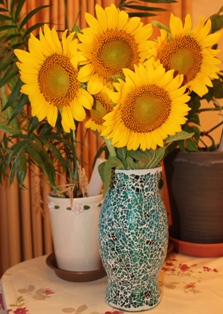 20120723-18.jpg