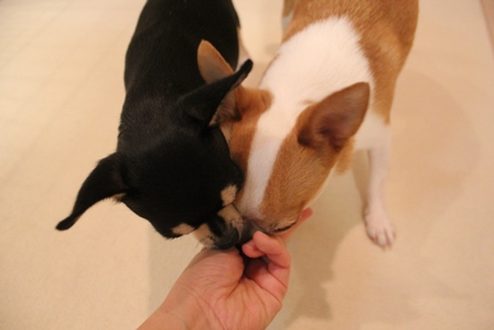 20120726-8.jpg