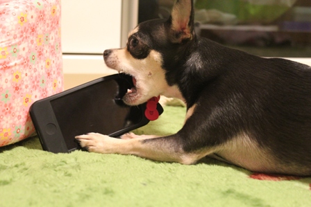 20120923-6.jpg
