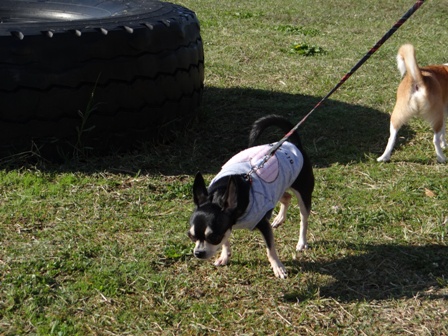 20121026-3.jpg