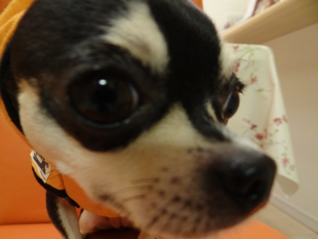 20121031-9.jpg