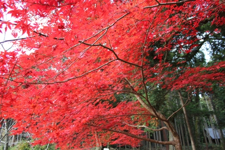 20121121-7.jpg