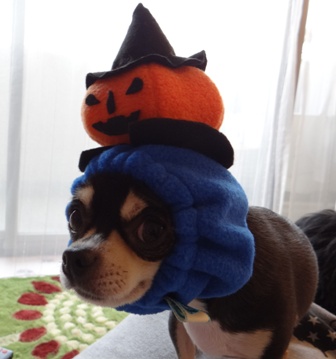 20121202-5.jpg