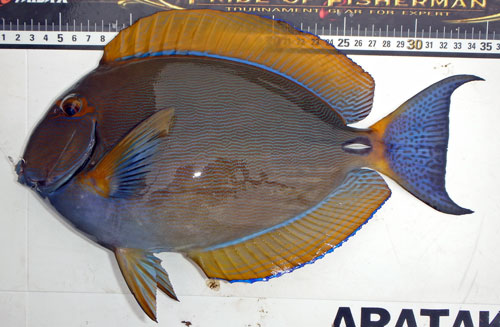 PB165820s.jpg