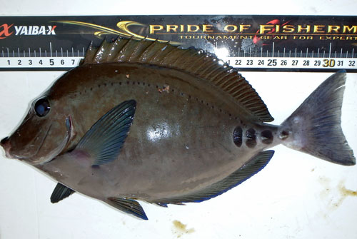 PB236018s.jpg