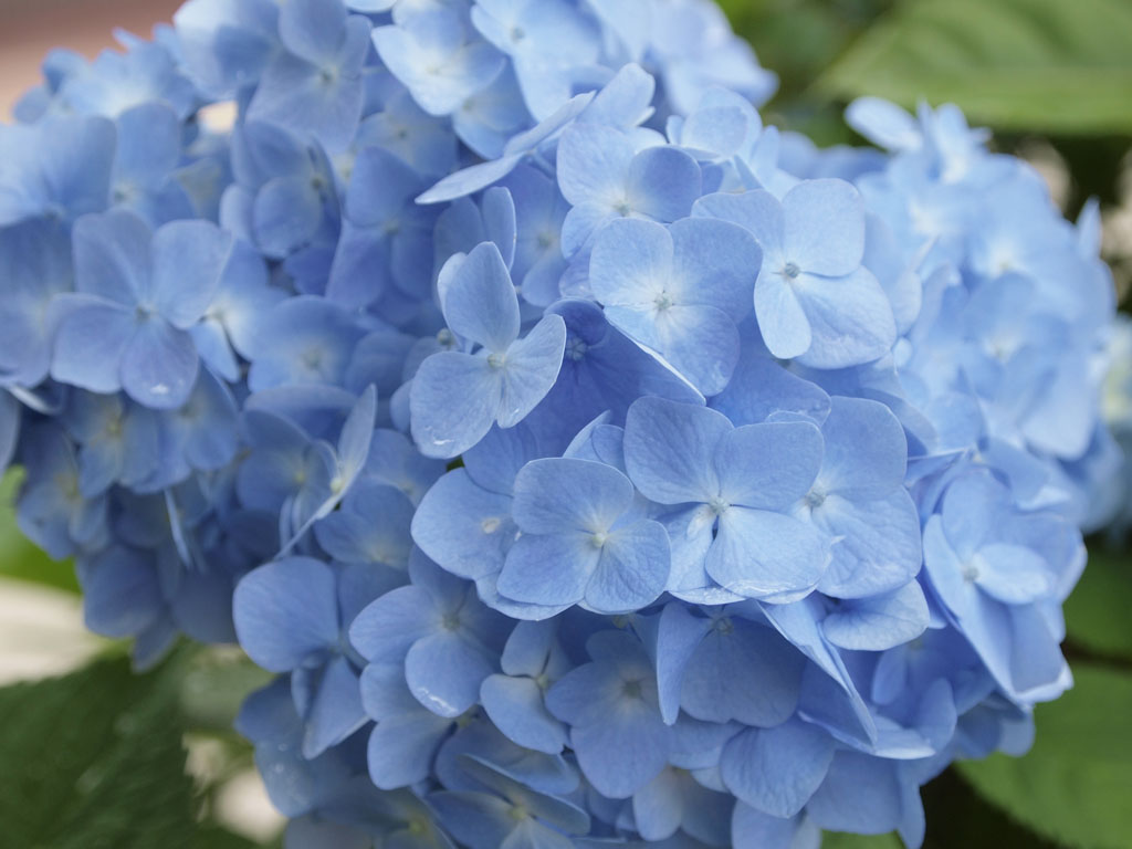 20100611120448.jpg