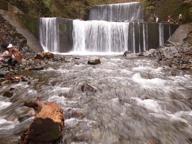 214284_1834101659_81large.jpg