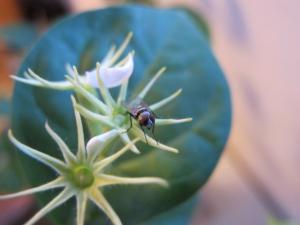 IMG_0047_convert_20120806214955.jpg