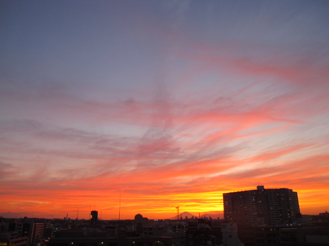 IMG_0151.jpg