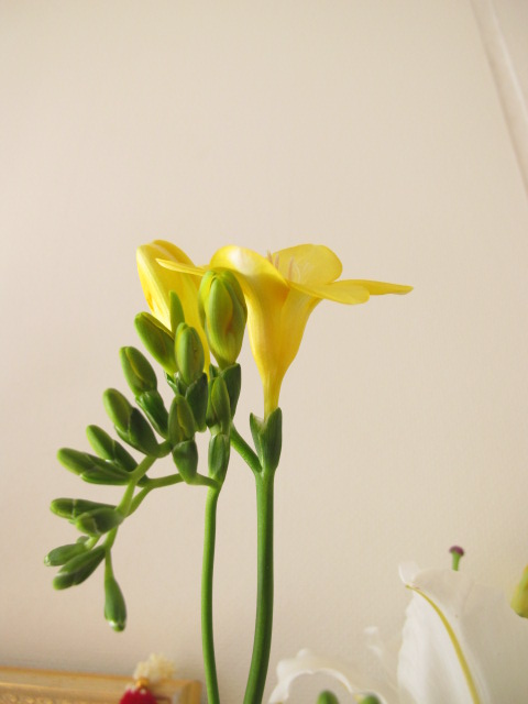 IMG_0182_20130218214501.jpg