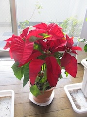 IMG_0189.jpg