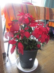 IMG_0190.jpg