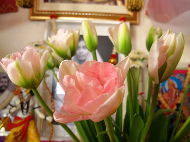 IMG_0279_20130110205130.jpg