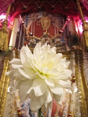 IMG_03cgh.jpg