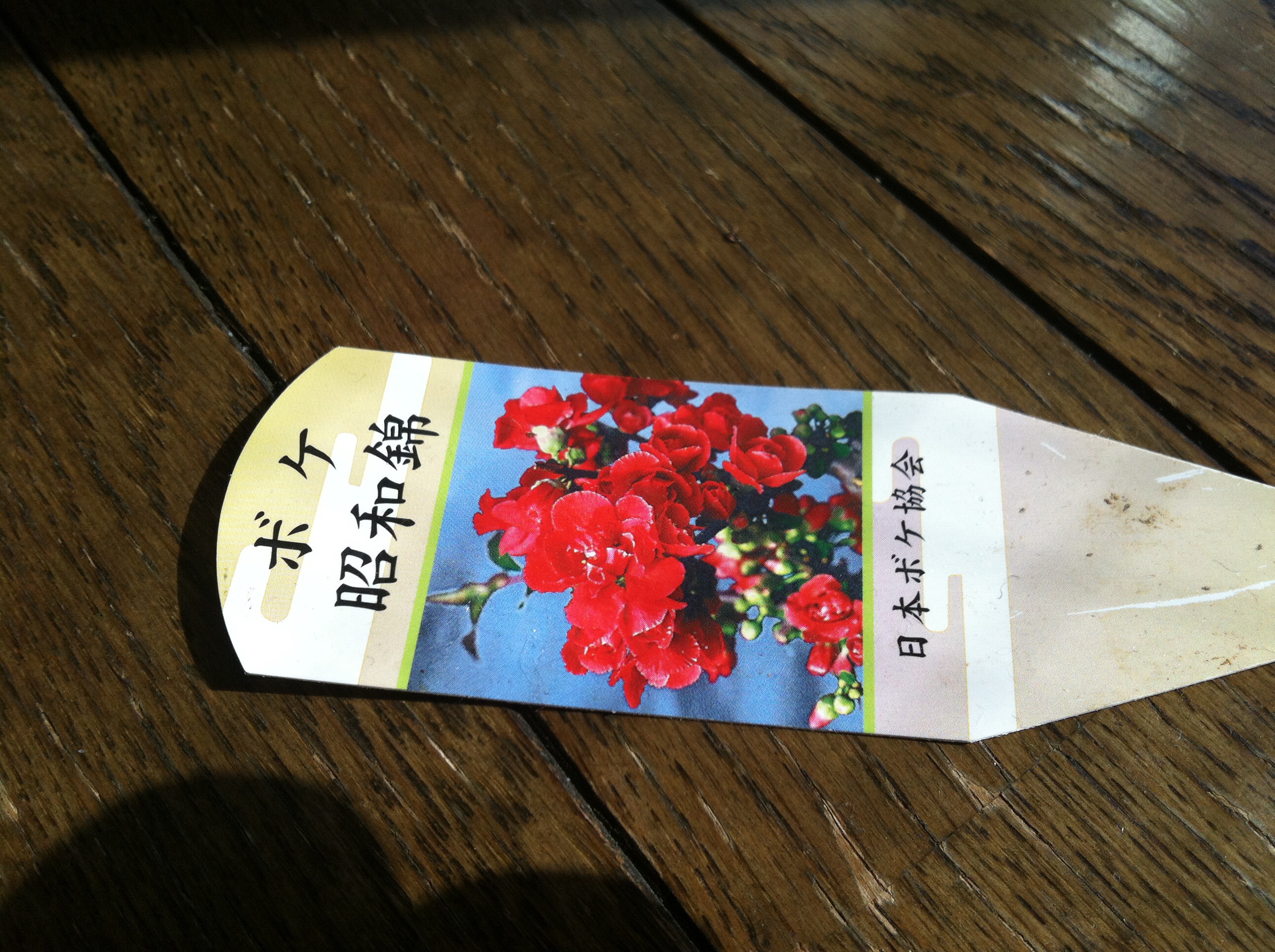 image_2014012911571521e.jpg