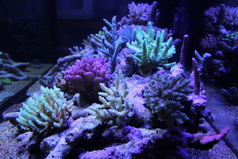 IMG_8508.jpg