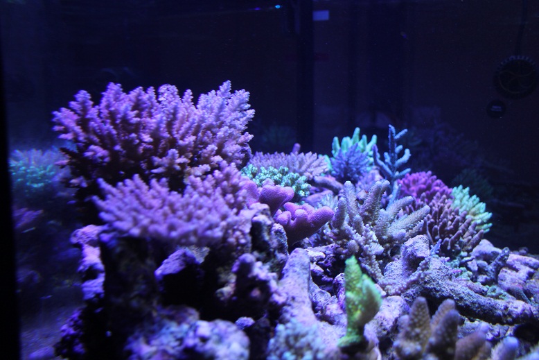 IMG_8527.jpg