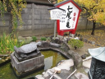 七尾の亀