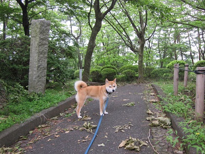 20126末2