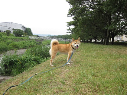 20128中1