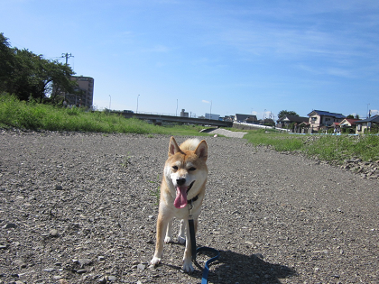 20129中5