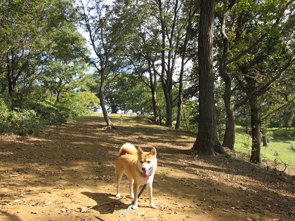 201210中3
