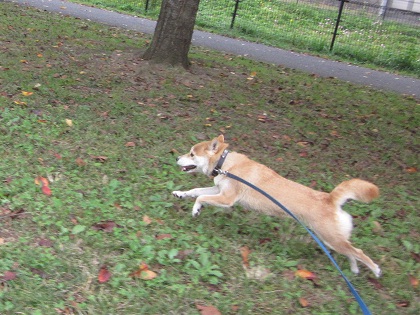 201210城2