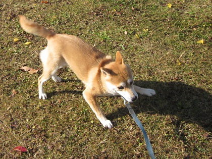 201212初4