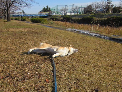 201212初3