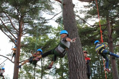 2012treeclimbing1