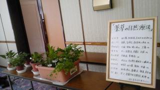 郡山・出張専門足つぼ足もみ士_たけろぐ_あなたと健康「東北健康学園」猪苗代にて。自然を学ぶには最高の環境でした 薬草の見本