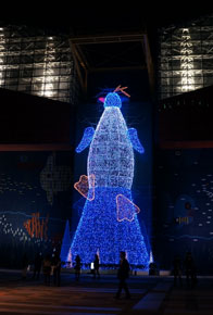 2012-11-10m.jpg