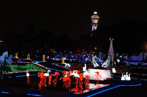2012-11-21.jpg
