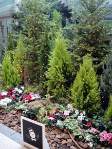 2012-12-20.jpg