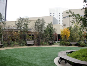 2012-12-5u.jpg