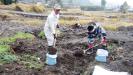 土砂を掘り、畑だった土を取り出します