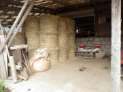 IMGP0765.jpg