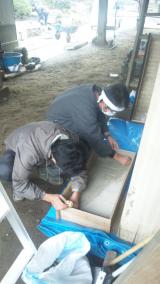 moblog_352be953.jpg
