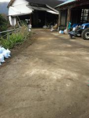moblog_52b26238.jpg